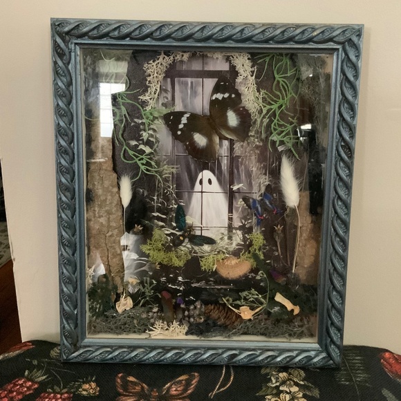 Other - Framed ghost nature display, oddity